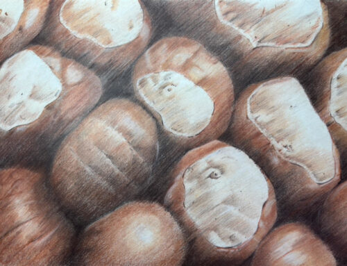 Conkers