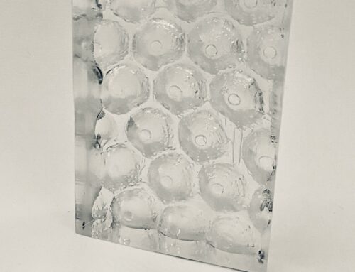 Butterfly eggs
