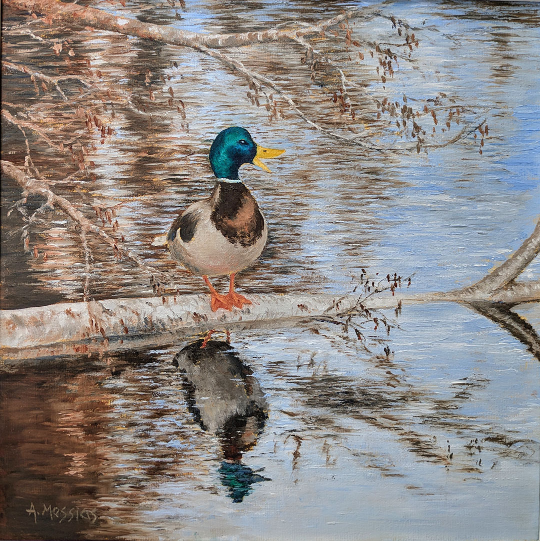 Calling duck